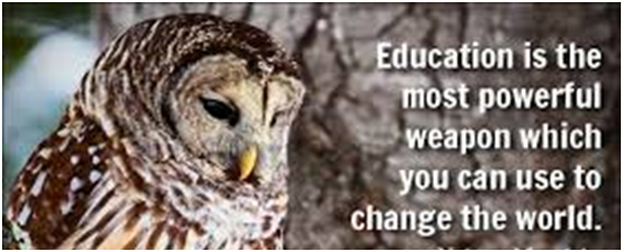 ABOUT BAL GUIDE – Bal Guide School